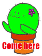 Hi! Cactuses sticker #6775474