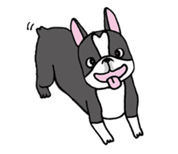 Bossa the mood swings dog sticker #6775561