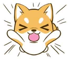 Japanese Shiba Inu tan 2 sticker #6775618