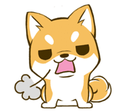 Japanese Shiba Inu tan 2 sticker #6775629