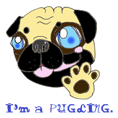 A pug, always and freely.