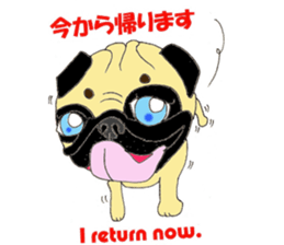 A pug, always and freely. sticker #6777009