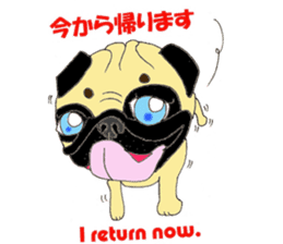 A pug, always and freely. sticker #6777009