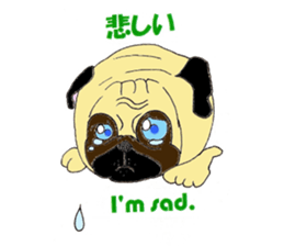 A pug, always and freely. sticker #6777022