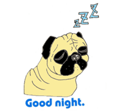 A pug, always and freely. sticker #6777024