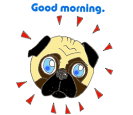 A pug, always and freely. sticker #6777025