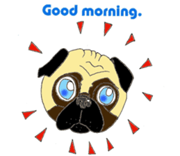 A pug, always and freely. sticker #6777025