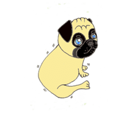 A pug, always and freely. sticker #6777031