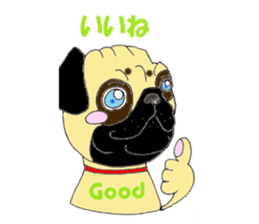 A pug, always and freely. sticker #6777033