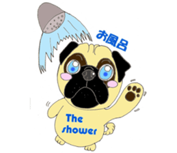 A pug, always and freely. sticker #6777035