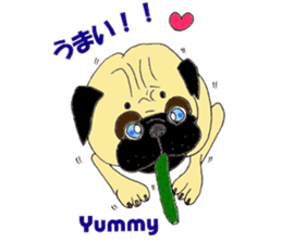 A pug, always and freely. sticker #6777037