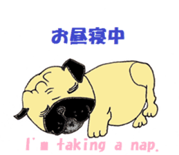 A pug, always and freely. sticker #6777038