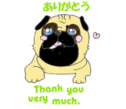 A pug, always and freely. sticker #6777042