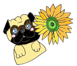A pug, always and freely. sticker #6777043