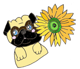 A pug, always and freely. sticker #6777043