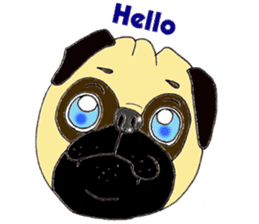 A pug, always and freely. sticker #6777045