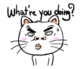 FUNNY CAT V.1 sticker #6778761
