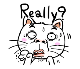 FUNNY CAT V.1 sticker #6778762