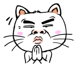 FUNNY CAT V.1 sticker #6778766