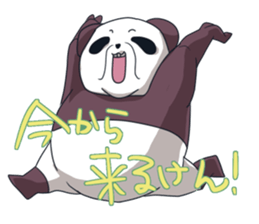 Fukuoka Hakata-ben Oyaji Panda sticker #6779773