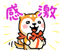 Heartwarming Shiba Inu sticker #6781342