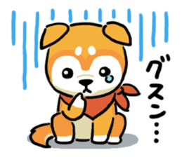 Heartwarming Shiba Inu sticker #6781359