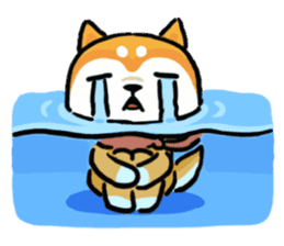 Comical Shiba Inu sticker #6781584