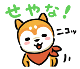 Comical Shiba Inu sticker #6781596