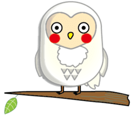 white owl family sticker #6788098