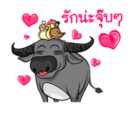 Nok Ouan (Thai) sticker #6788188