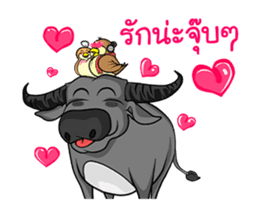 Nok Ouan (Thai) sticker #6788188