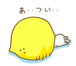Lemon cat squash sticker #6791730