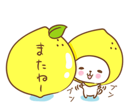Lemon cat squash sticker #6791751