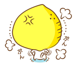 Lemon cat squash sticker #6791752