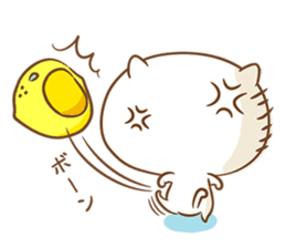 Lemon cat squash sticker #6791753