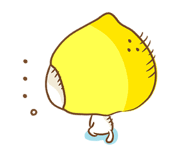 Lemon cat squash sticker #6791764