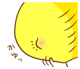 Lemon cat squash sticker #6791766