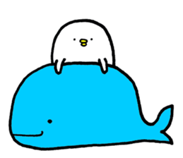 Piyokichi of chick Summer!! sticker #6792327