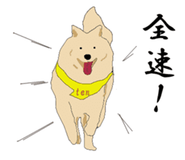 Ten !!/ Soba shop's mascot dog. sticker #6792969