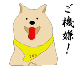 Ten !!/ Soba shop's mascot dog. sticker #6792970