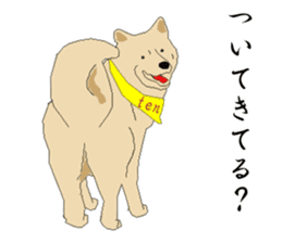 Ten !!/ Soba shop's mascot dog. sticker #6792973