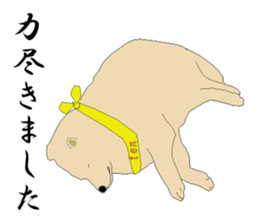 Ten !!/ Soba shop's mascot dog. sticker #6792975