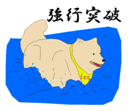 Ten !!/ Soba shop's mascot dog. sticker #6792987
