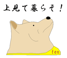 Ten !!/ Soba shop's mascot dog. sticker #6792993