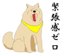 Ten !!/ Soba shop's mascot dog. sticker #6792996