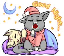 CatRabbit : Daily Life sticker #6795450