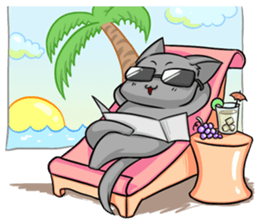 CatRabbit : Daily Life sticker #6795473