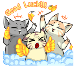 CatRabbit : Daily Life sticker #6795483