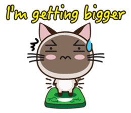 Chokdee (English Version) sticker #6795644