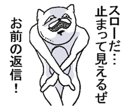 Very crazy cat. sticker #6796183